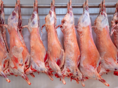 Lamb Carcasses