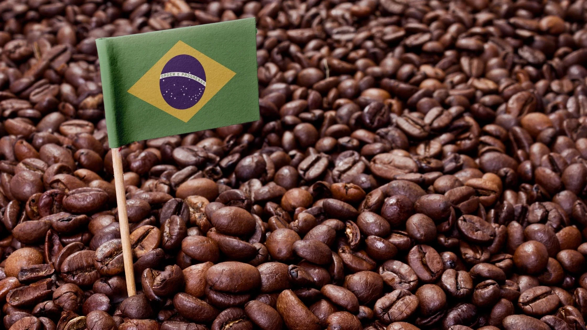 Brazilian Coffee