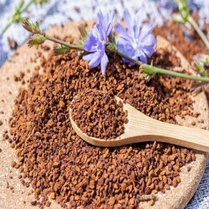 Instant Chicory Spray Dried
