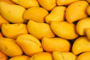 Fresh Mango